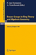 Brauer Groups in Ring Theory and Algebraic Geometry: Proceedings, University of Antwerp U.I.A., Belgium, August 17-28, 1981