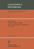 Aspects of Fluvial Sedimentation in the Lower Triassic Buntsandstein of Europe