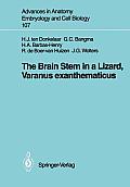 The Brain Stem in a Lizard, Varanus Exanthematicus