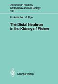 The Distal Nephron in the Kidney of Fishes