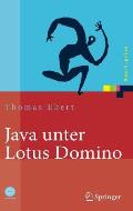 Java Unter Lotus Domino: Know-How F?r Die Anwendungsentwicklung
