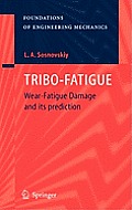 Tribo-Fatigue: Wear-Fatigue Damage and Its Prediction