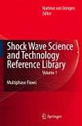 Shock Wave Science and Technology Reference Library, Vol. 1: Multiphase Flows I