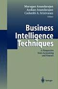 Business Intelligence Techniques: A Perspective from Accounting and Finance