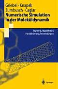 Numerische Simulation in Der Molek?ldynamik: Numerik, Algorithmen, Parallelisierung, Anwendungen