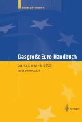 Das Gro?e Euro-Handbuch: PRAXIS Der W?hrungsumstellung Und Strategien F?r Neue M?rkte