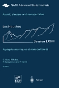 Atomic Clusters and Nanoparticles. Agregats Atomiques Et Nanoparticules: Les Houches Session LXXIII 2-28 July 2000