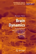 Brain Dynamics Synchronization & Activit