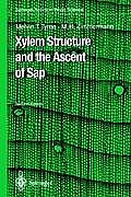 Xylem Structure and the Ascent of SAP