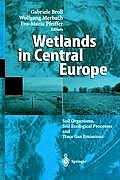 Wetlands in Central Europe: Soil Organisms, Soil Ecological Processes and Trace Gas Emissions
