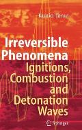 Irreversible Phenomena: Ignitions, Combustion and Detonation Waves