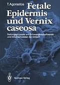 Fetale Epidermis Und Vernix Caseosa: Reifungsprozesse Am Schwangerschaftsende Und Initiativprozesse Der Geburt