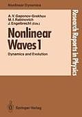 Nonlinear Waves 1: Dynamics and Evolution