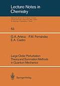 Large Order Perturbation Theory and Summation Methods in Quantum Mechanics