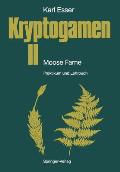 Kryptogamen II Moose - Farne: Praktikum Und Lehrbuch