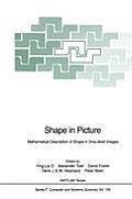Shape in Picture: Mathematical Description of Shape in Grey-Level Images