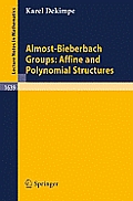 Almost Bieberbach Groups Affine & Polynomial Structures