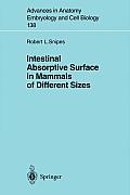 Intestinal Absorptive Surface in Mammals of Different Sizes