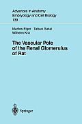 The Vascular Pole of the Renal Glomerulus of Rat