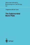 The Subchondral Bone Plate