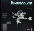 Neuroanatomy: 3d-Stereoscopic Atlas of the Human Brain [With CD-ROM and 3D Glasses]