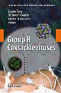 Group B Coxsackieviruses