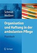 Organisation Und Haftung in Der Ambulanten Pflege: Praxisbuch