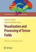 Visualization and Processing of Tensor Fields: Advances and Perspectives