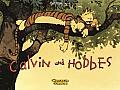 Calvin & Hobbes Ereignisreiche Tage