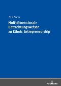Multidimensionale Betrachtungsweisen zu Ethnic Entrepreneurship
