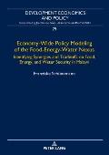 Economy-Wide Policy Modeling of the Food-Energy-Water Nexus: Identifying Synergies and Tradeoffs on Food, Energy, and Water Security in Malawi