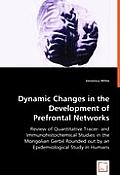 Dynamic Changes in the Development of Prefrontal Networks
