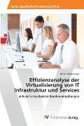 Effizienzanalyse der Virtualisierung von IT Infrastruktur und Services