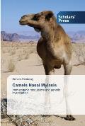 Camels Nasal Myiasis