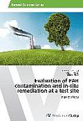 Evaluation of PAH contamination and in-situ remediation at a test site