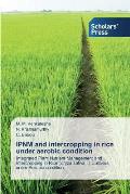 IPNM and intercropping in rice under aerobic condition