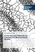 Finite Element Methods for Cracked and Microcracked Bodies