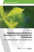Highdimensional Exciton Dynamics in Photosynthetic Complexes