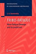 Tribo-Fatigue: Wear-Fatigue Damage and Its Prediction