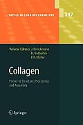 Collagen: Primer in Structure, Processing and Assembly