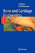 Bone and Cartilage Engineering