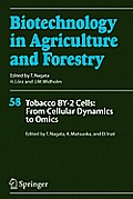 Tobacco By-2 Cells: From Cellular Dynamics to Omics