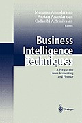 Business Intelligence Techniques: A Perspective from Accounting and Finance