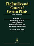 Flowering Plants - Dicotyledons: Malvales, Capparales and Non-Betalain Caryophyllales