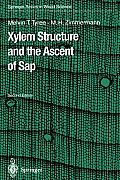 Xylem Structure and the Ascent of SAP