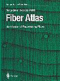 Fiber Atlas: Identification of Papermaking Fibers