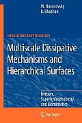 Multiscale Dissipative Mechanisms and Hierarchical Surfaces: Friction, Superhydrophobicity, and Biomimetics
