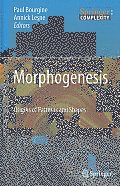 Morphogenesis: Origins of Patterns and Shapes
