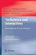 Turbulence and Interactions: Proceedings the Ti 2009 Conference