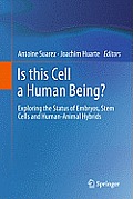 Is This Cell a Human Being?: Exploring the Status of Embryos, Stem Cells and Human-Animal Hybrids